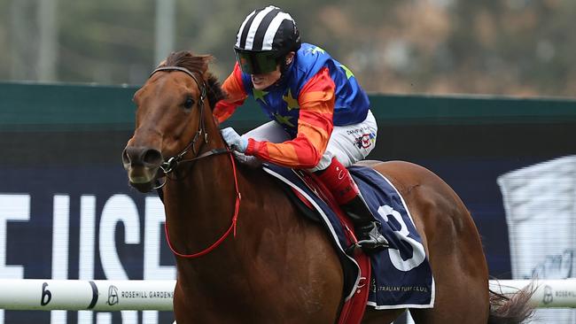 The Everest winner Bella Nipotina will not race during the autumn. Picture: Jeremy Ng/Getty Images