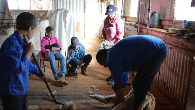 The McInnis family, Angus, Callie, Tayla, Sharon and Allen, help in the woolshed at Hawker. Picture: Supplied