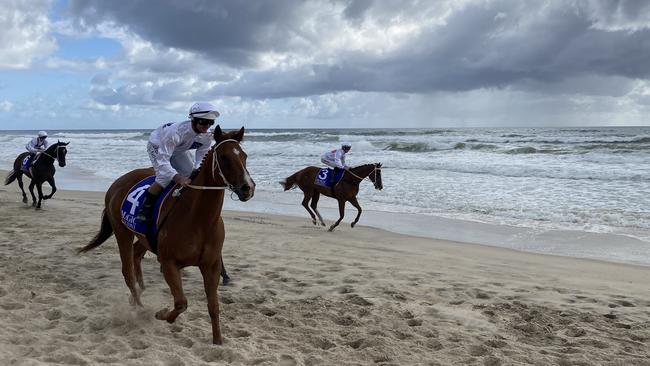 The Magic Millions beach gallop at Surfers Paradise. Picture: Jacob Miley.