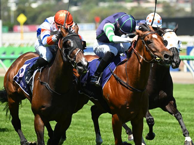 MELBOURNE, AUSTRALIA - JANUARY 18: Tom Madden riding Major Share defeat Beau Mertens riding Bossy Nic (L) in Race 6, the Vrc Super Saturday, 8 March during Melbourne Racing at Flemington Racecourse on January 18, 2025 in Melbourne, Australia. (Photo by Vince Caligiuri/Getty Images)