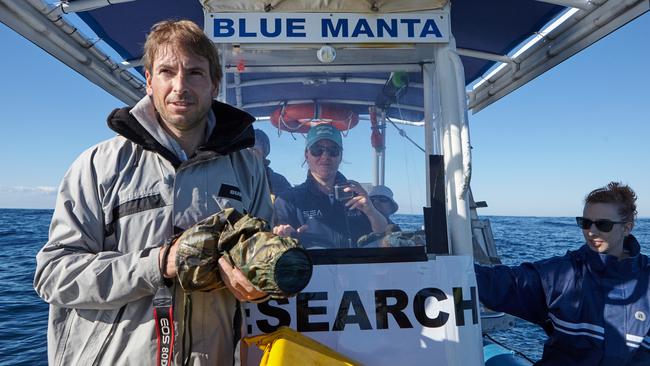 Humpbacks and Highrises founder and researcher Olaf Meynecke. Picture: Mark Buckley Photography.