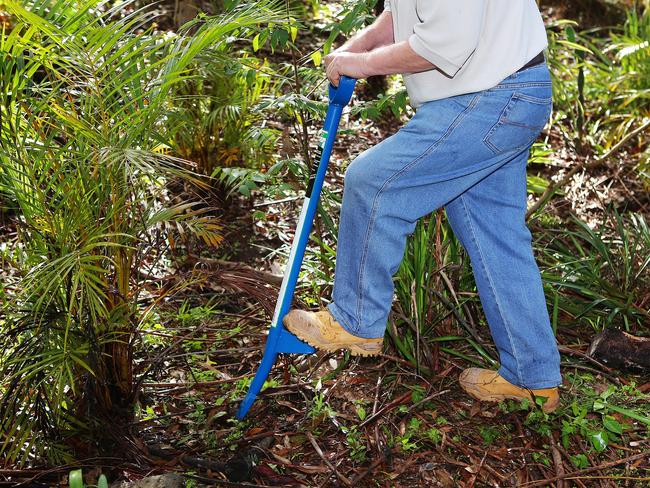 The Prong for Aus Life gardening 9 May