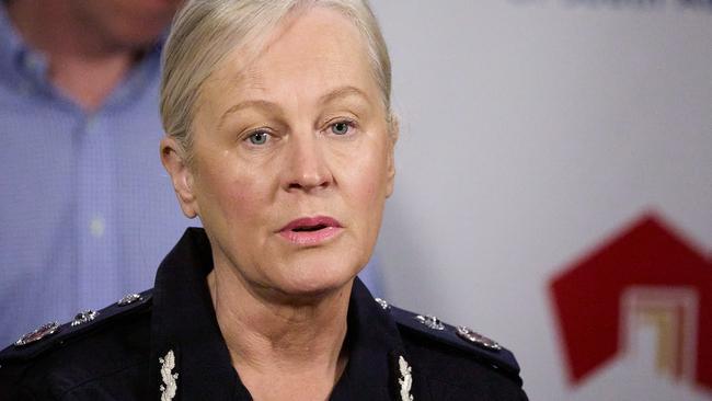 Police Deputy Commissioner, Linda Williams. Picture: Matt Loxton