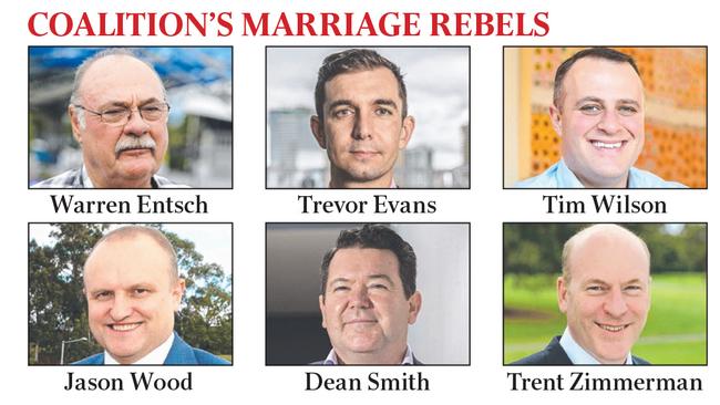 Turnbull Facing Same Sex Marriage Showdown As Lib Mps Break Ranks The Australian 8181