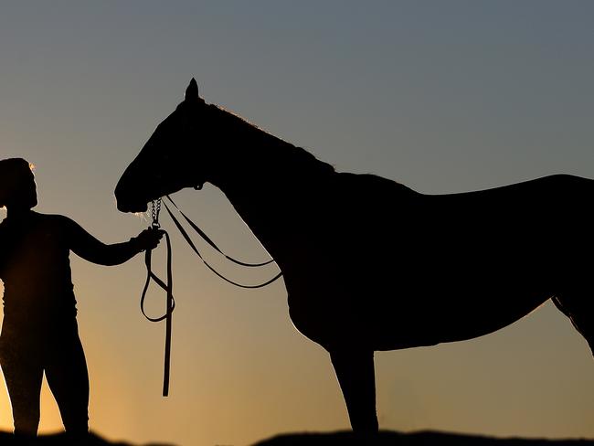 Kristen Buchanan and horse “Two Blue” (Photo: Adam Head)