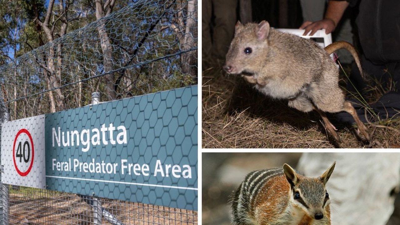 Aussie tourists can see ‘extinct’ animals