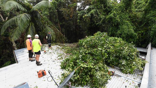 A tree crashed through the roof of a Coolum home while a family was inside on Sunday night. Picture: Patrick Woods.