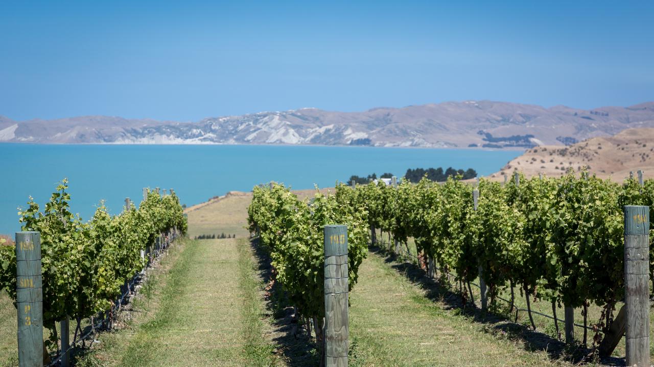 Marlborough cellar door, New Zealand Wine