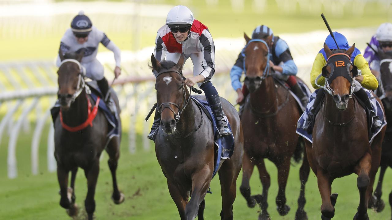 Cotehele was impressive winning a trial at Randwick recently. Picture: Getty Images