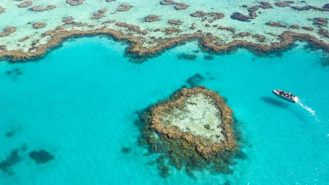 The reopening of Queensland’s borders couldn’t have come at a better time for the state’s tourist operators, particularly in the far north of the state.