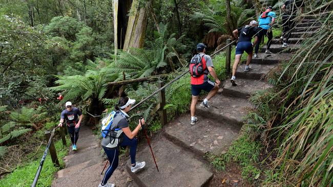 Teams taking part in the 11th Oxfam Melbourne Trailwalker, a gruelling 100km journey from Wheelers Hill to Wesburn, tackle the 1000 Steps in the Dandenong Ranges National Park, Ferntree Gully.