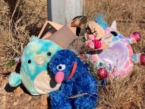 Soft toys have been left near the crime scene as locals mourn the tragic loss of three children who were killed in a house fire in a regional community in Western Australia. The children, who were aged 10, 7 and five months, were found dead inside the home on Anderson street on Tuesday afternoon. Picture: @ShannonHampton_/Twitter