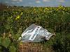 Dutch Safety Board Report Into Downed Plane MH17 To Give Few Answers ...