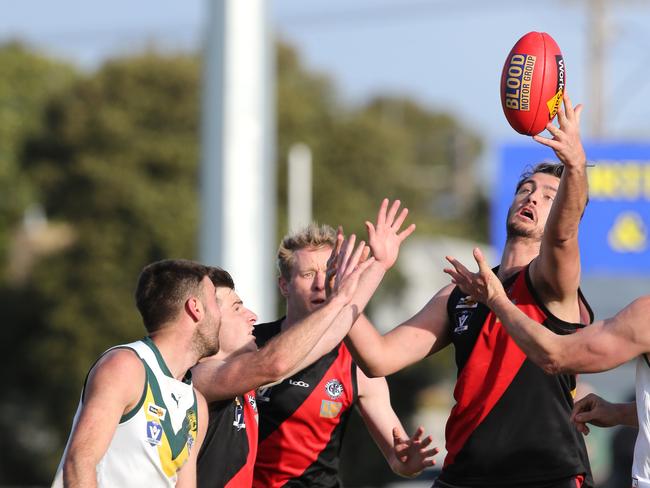 GFL preliminary finals Senior footy: Newtown &amp; Chilwell v Leopold. Newtown's Lachlan Waddell. Picture: Mike Dugdale