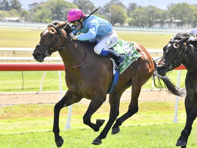 The John O'Shea-trained Gold Dust can make it back-to-back wins when she heads to Gosford on Thursday. Picture: Bradley Photos