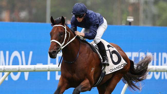 Golden Slipper Wodeton had a trial at Warwick Farm on Tuesday. Picture: Jeremy Ng/Getty Images