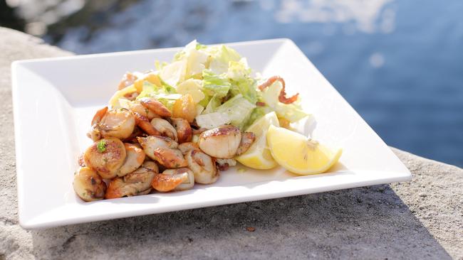 Fish Frenzy's pan-seared fresh Tasmanian scallops with salad and a glass of Tasmanian white wine.