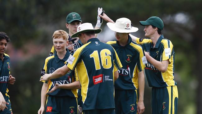 Wests celebrating a wicket. Picture: Michael Gorton