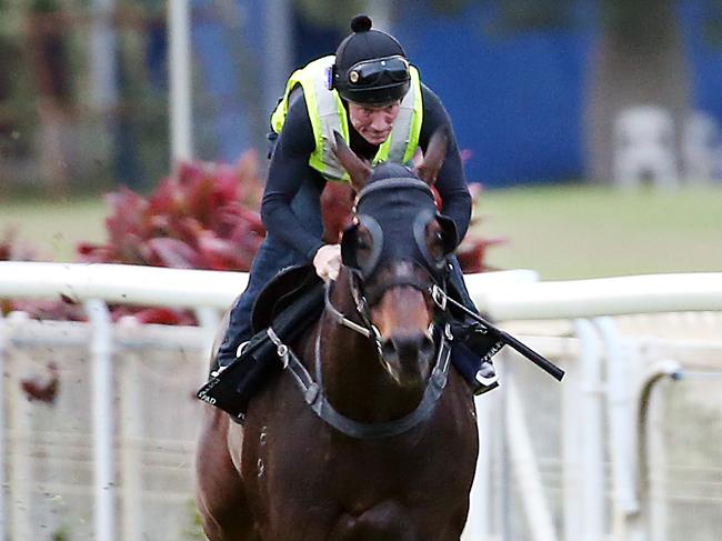 Big wet ruins Stradbroke hopes for star duo