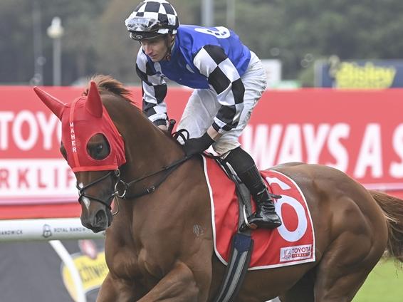 Racenet's Mitch Cohen likes the $16 value around import New Energy at Rosehill Gardens on Saturday. Picture: Bradley Photos