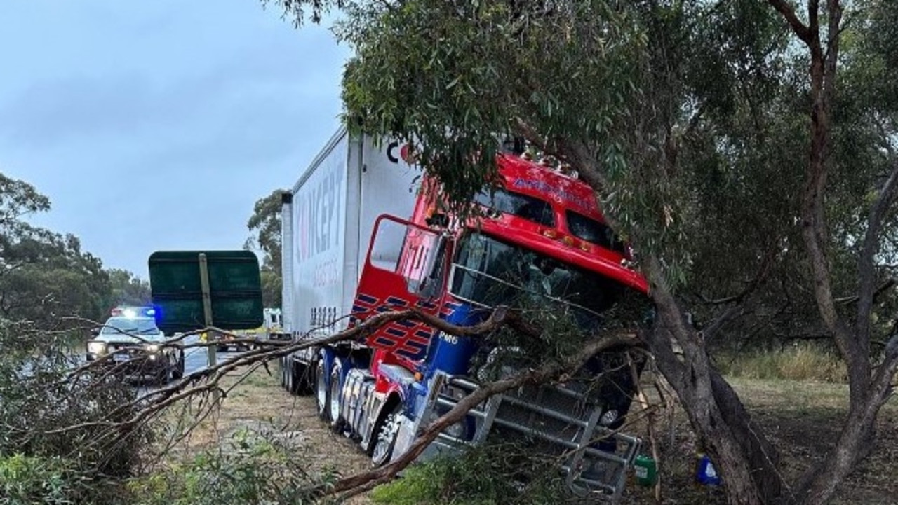 A truck driver is lucky to be alive after crashing into a tree, with a tree branch impaling the drivers side of the windscreen. Picture: SAPOL