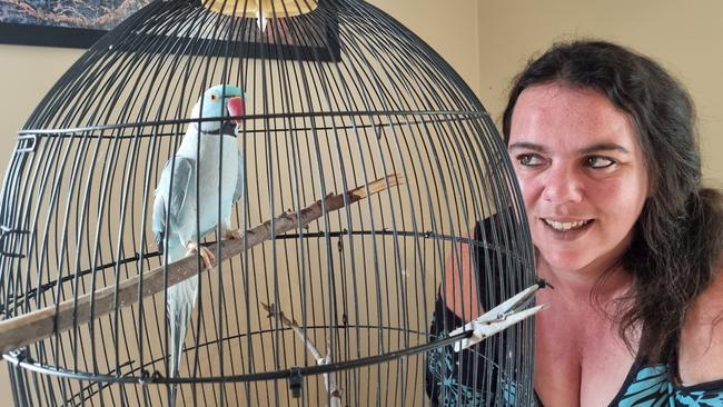 Cassie Carver, of Geeveston, with her bird Buddy the Indian ringneck which went missing at Kingston about 10 years ago.