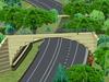 Cassowary crossing stalls $13m highway upgrade
