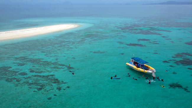 Ocean Safari, Great Barrier Reef.