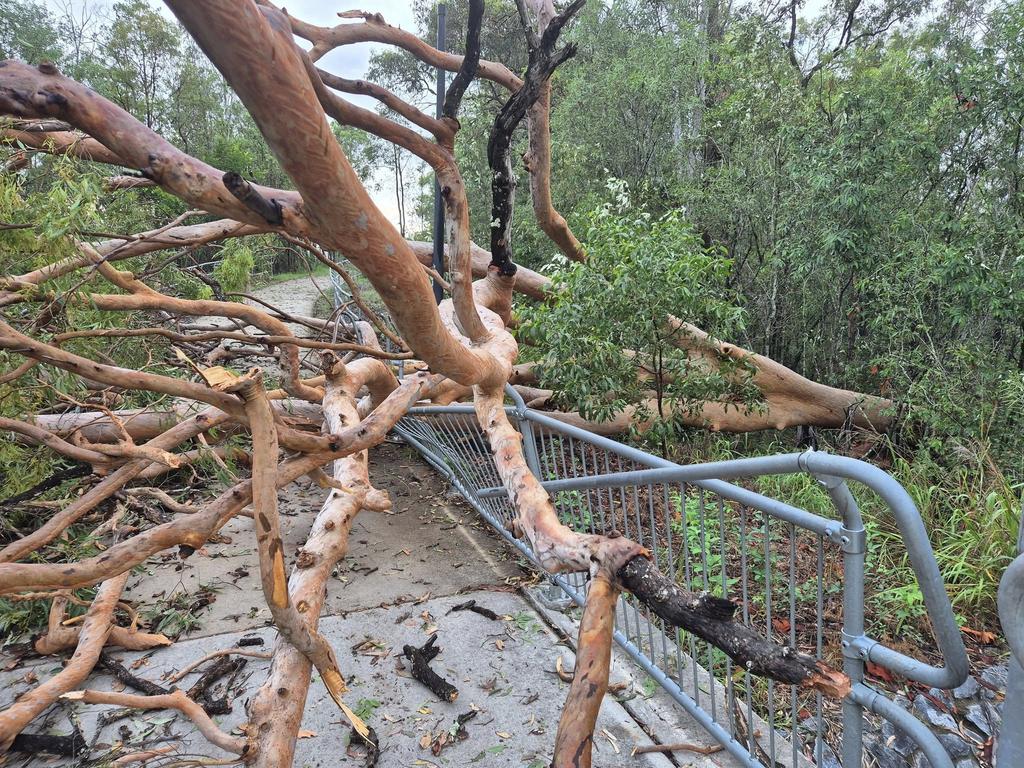 Multiple trees were brought down along the Brisbane Valley Rail trail (Wulkuraka to Coominuya) at Ipswich. Picture: Facebook/Friends of Brisbane Valley Rail Trail/Brian Drager