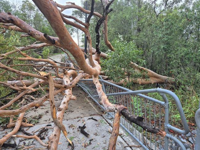 Multiple trees were brought down along the Brisbane Valley Rail trail (Wulkuraka to Coominuya) at Ipswich. Picture: Facebook/Friends of Brisbane Valley Rail Trail/Brian Drager