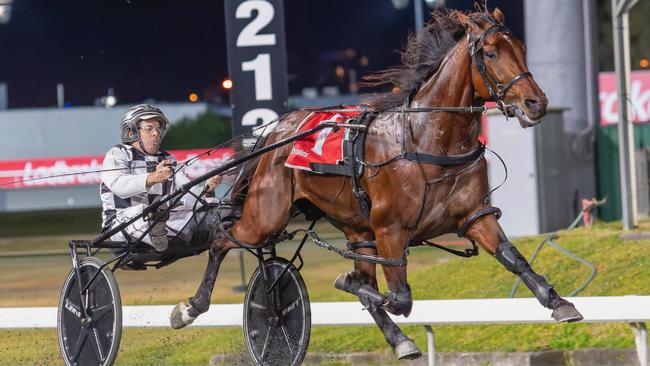 Champion pacer Leap To Fame. Picture: Dan Costello