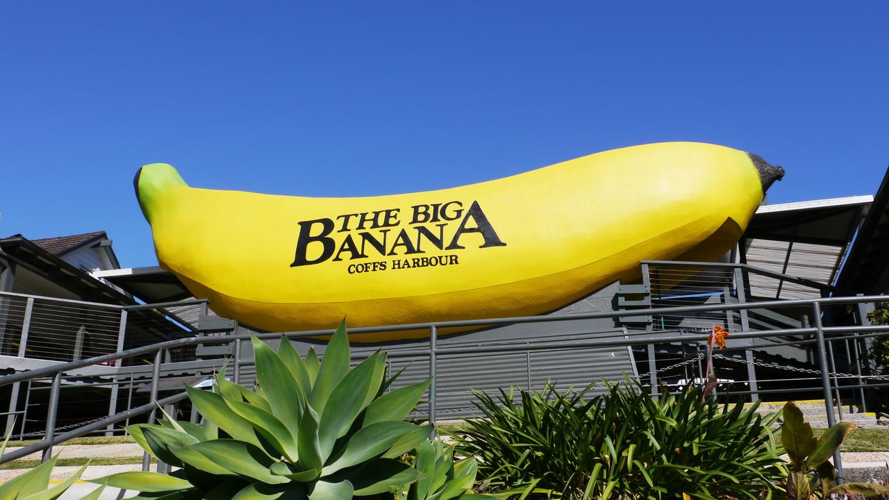 Mackays Big Banana Landmark Icon On Harbour Rd The Courier Mail