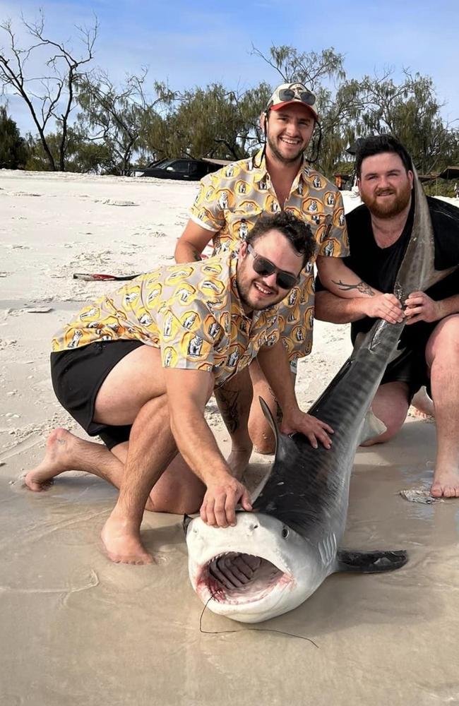 Krystal Robertson wrote: "Epic catch off Awinya Creek, reeled in this tiger shark and a massive audience of people watching'' after another shark catch on K'gari.