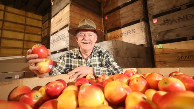 Kevin Sanders, apple grower, Three Bridges,   Picture Yuri Kouzmin