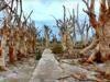 The ruins of a submerged ghost town 