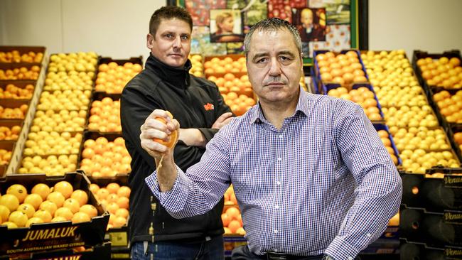 Horticultural Coalition of SA chairman Angelo Demasi and citrus specialist Pete Mercurio, of Bache Bros, are both concerned about fruit-fly. Picture: MIKE BURTON