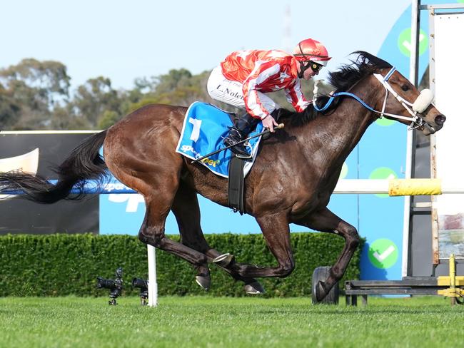 Desert Lightning (NZ) ridden by Luke Nolen wins the Sportsbet Sandown Stakes at Sportsbet Sandown Hillside Racecourse on September 28, 2024 in Springvale, Australia. (Photo by Scott Barbour/Racing Photos via Getty Images)