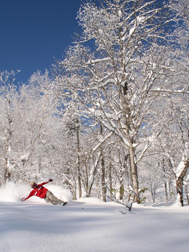 Snowboarder carving it up in Furano.