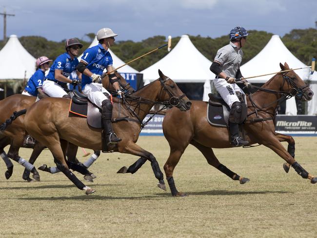 The polo ponies are put through their paces. Picture: Sarah Matray