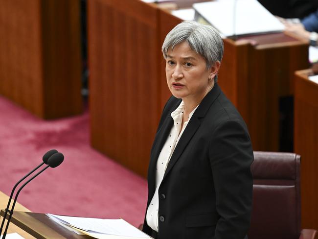 Senior members of the Jewish community have been trying to understand what motivates Penny Wong. Picture: Martin Ollman