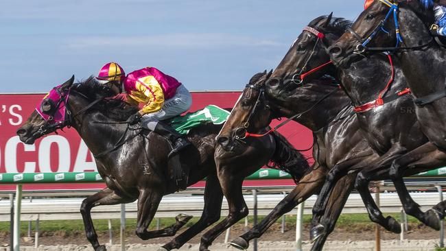 Jockey Glen Colless rode the David Fletcher-trained Pipe Dream Lass to a win in the Maiden Plate (900m) at the Gold Coast Turf Club on Saturday, June 15, 2019. Picture credit: Greg Irvine, Magic Millions.