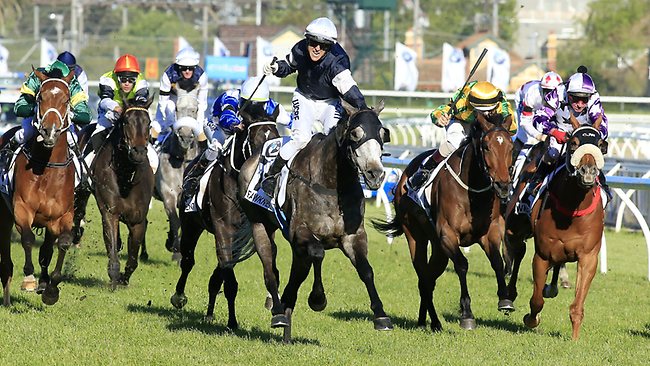 Fawkner wins Caulfield Cup