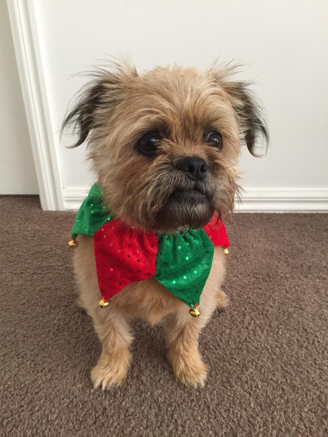 Pepper from Burwood. Picture: Kim