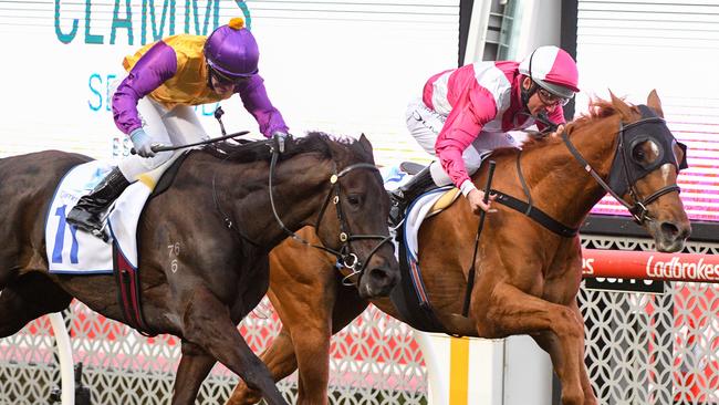 Superstorm noses out Elephant in the Feehan Stakes. Photo: Vince Caligiuri–Getty Images