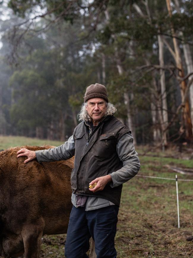 Farmer and author Matthew Evans on his Cygnet property. Picture: Adam Gibson