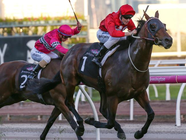 Ethan Brown and Iconoclasm gain the upper hand at Flemington last start. Picture: AAP