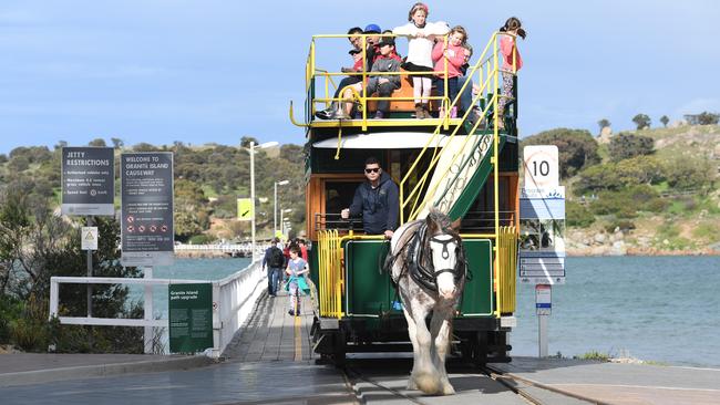 Victor Harbor’s horse-drawn tram is a popular tourist attraction. Picture: Tricia Watkinson