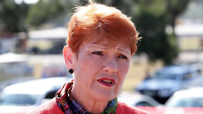 One Nation boss Pauline Hanson. Picture: NCA NewsWire / Peter Lorimer