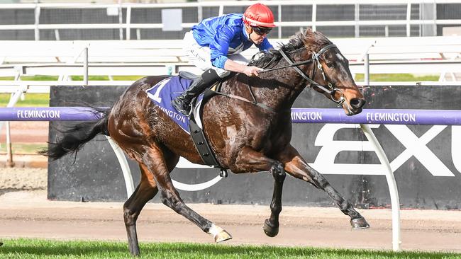 The Patrick Payne-trained Seonee will take an outstanding 1400m record into Saturday’s Group 3 Victoria Handicap at Caulfield. Picture: Racing Photos via Getty Images