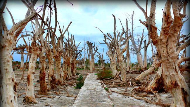 Argentina's ghost town